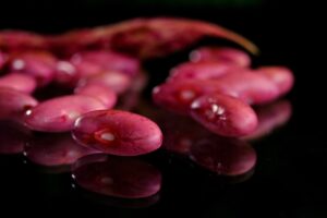 red-beans