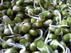 Beans and lentils