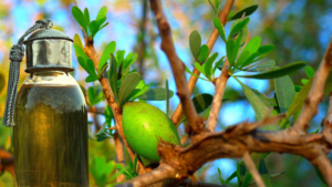 Argan oil